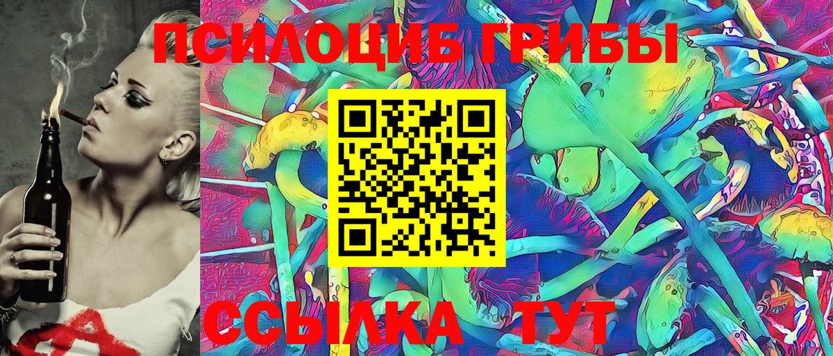 Псилоцибиновые грибы Psilocybine cubensis Каменка