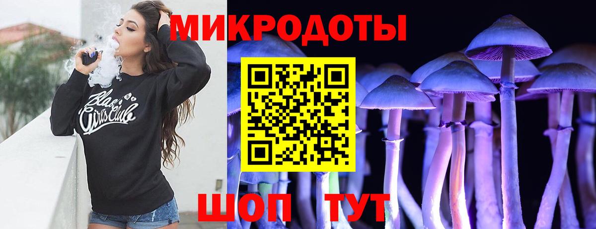 Галлюциногенные грибы ЛСД  Вход с VPN  Каменка 