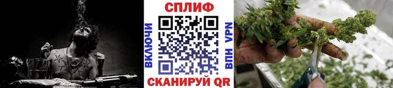 Марихуана индика как найти закладки Каменка